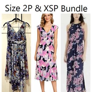 Size 2P/XSP Dress Bundle: 3-Dress Lot!